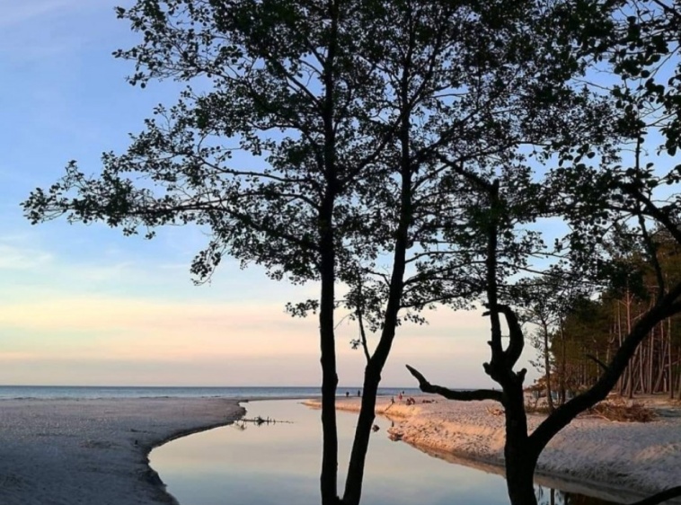 Domki u Latarnika ?v=1.0