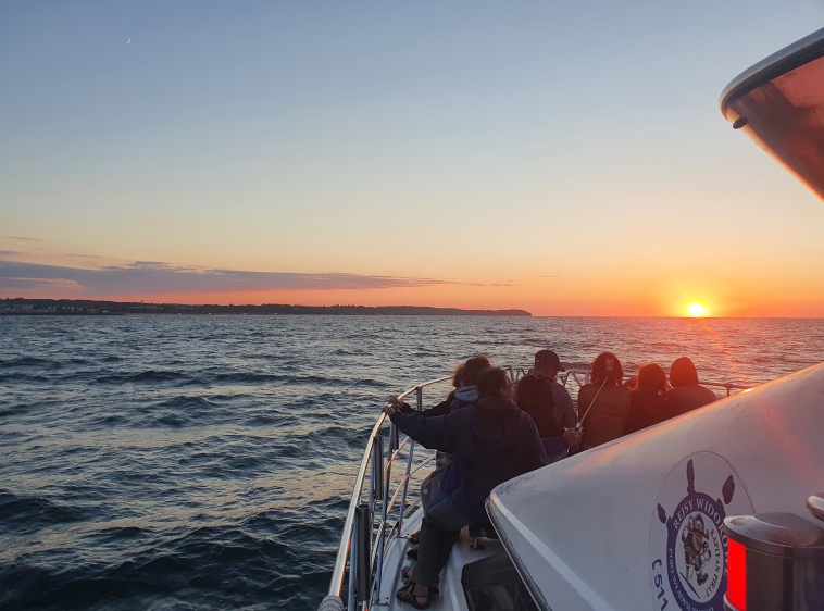 ARKUN - rejsy widokowe jachtem