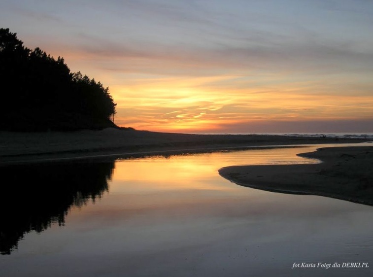 Ujście Piaśnicy do morza