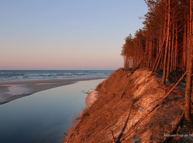 Ujście Piaśnicy do morza