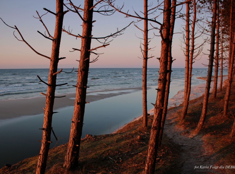 Ujście Piaśnicy do morza