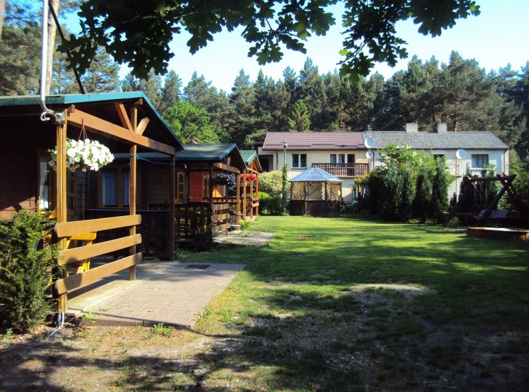 Sosn&oacute;wka ?v=1.0