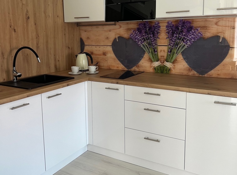 OSTOJA - pokoje gościnne Apartament z aneksem kuchennym.?v=1.0