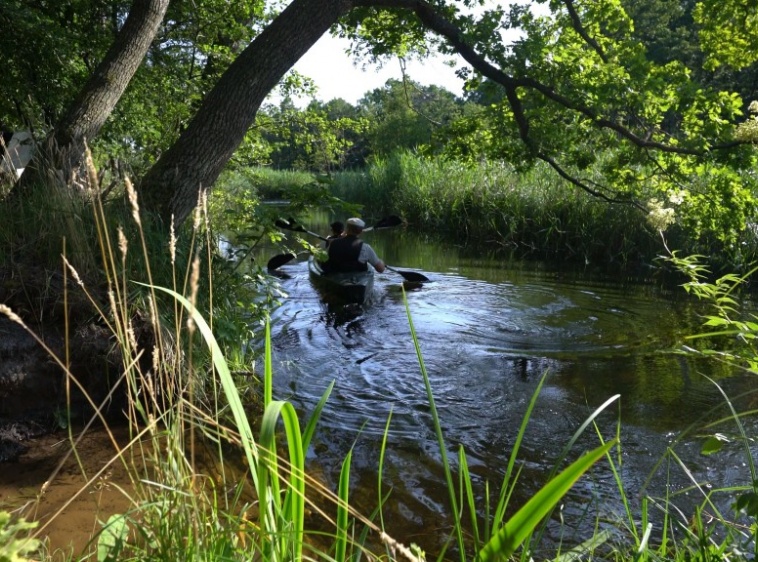 Fajne Spływy Kajakowe Dębki Piaśnicą do morza 