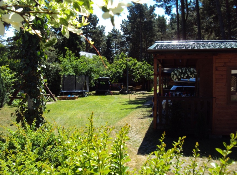 Sosn&oacute;wka ?v=1.0