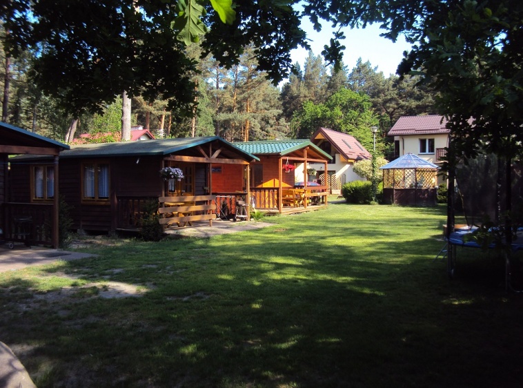 Sosn&oacute;wka ?v=1.0