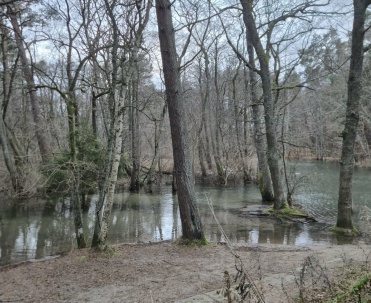 Cofka Bałtyku i wylew Piaśnicy &ndash; nadzwyczajna sytuacja