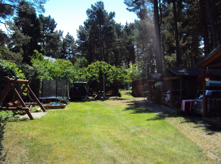 Sosn&oacute;wka ?v=1.0