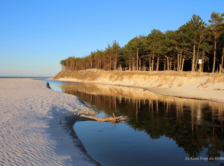 Ujście Piaśnicy do morza