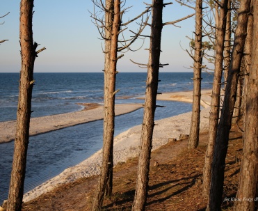 Ujście rzeki Piaśnicy &ndash; jedno z najbardziej urokliwych miejsc w Dębkach