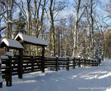 Dębki poza sezonem &ndash; zimowy raj dla miłośnik&oacute;w ciszy i natury