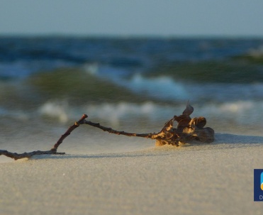 Dębki - ruchome piaski podczas silnych wiatr&oacute;w