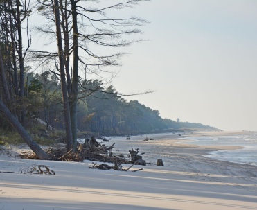 Dębki - pusta plaża czeka na specerowicz&oacute;w