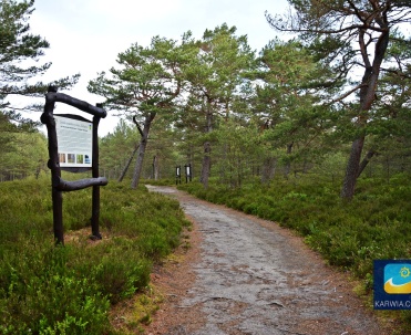 Ścieżka przyrodniczo-leśna w Białog&oacute;rze to idealne miejsce na spacer.