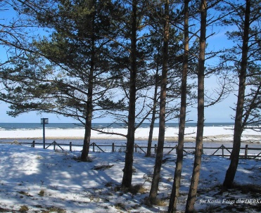 Dębki poza sezonem &ndash; zimowy raj dla miłośnik&oacute;w ciszy i natury