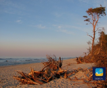 Dębki - jesienna plaża