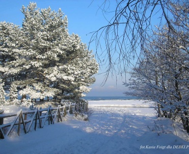 Zimowy spacer po plaży w Dębkach &ndash; cisza, spok&oacute;j i mroźne piękno