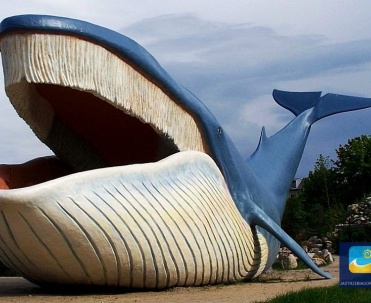 Ocean Park we Władysławowie to miejsce dla tych, kt&oacute;rzy chcą poczuć jak wygląda spacer po dnie oceanu.