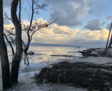Zimowe okoliczności Dębek