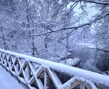 Zimowy szlak w Dębkach